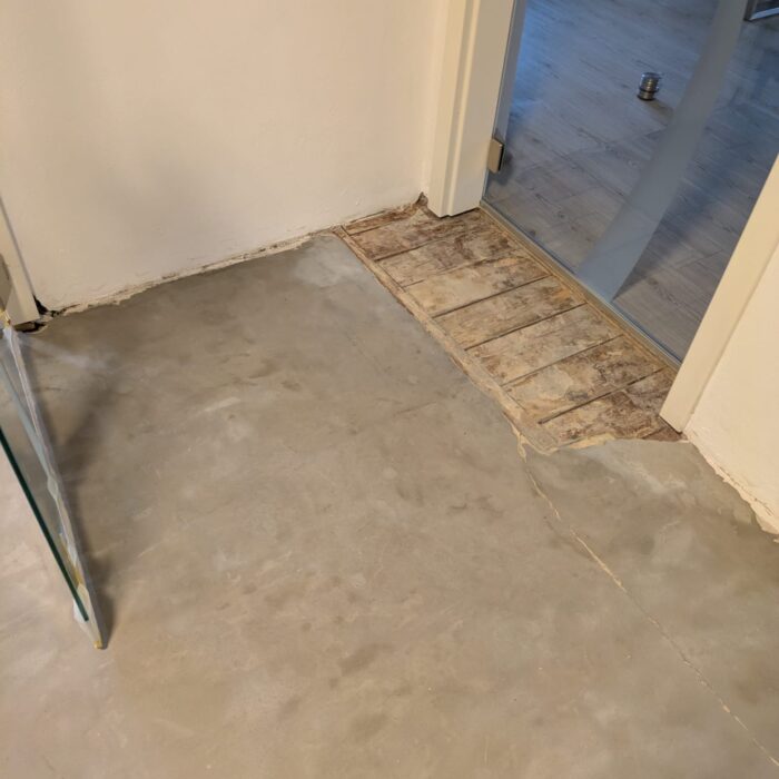 PHOTO-2025-12-22-12-09-04