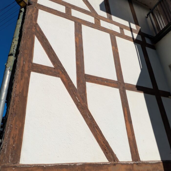 PHOTO-2025-12-22-12-09-04(3)